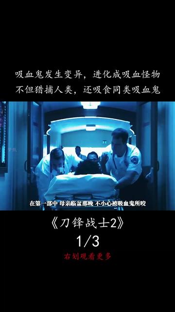 说电影《刀锋战士2》