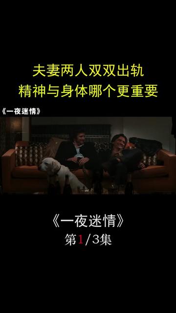 说电影《一夜迷情》