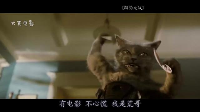 说电影《猫狗大战》